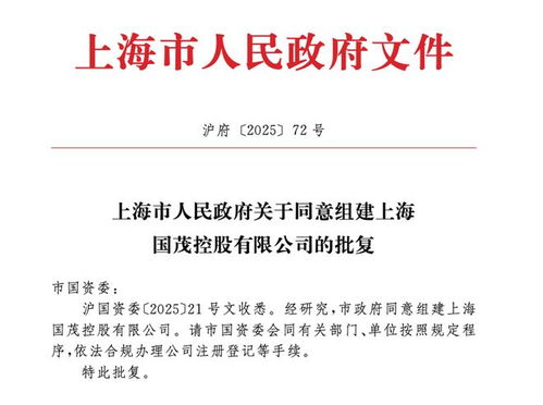 上海市政府批準成立注冊資本130億元新國企，聚焦計算機軟硬件技術研發